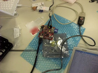 Beagleboard